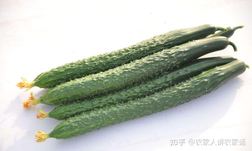 乐脉颗粒和脂脉康胶囊能一起吃吗-权威乐脉胶囊和脑心通胶囊哪个治脑梗更好平台,分享专业乐脉胶囊和脑洛通可以同服吗知识_乐脉颗粒与脑得生片网
