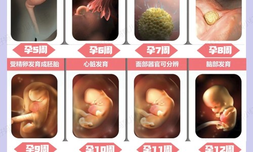 权威乐脉胶囊和脑心通胶囊哪个治脑梗更好平台,分享专业乐脉胶囊和脑洛通可以同服吗知识_乐脉颗粒与脑得生片网